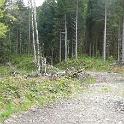 Wald für Geländespiel